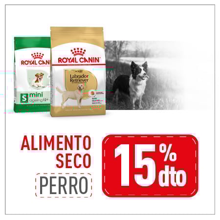 Royal Canin: -15% en selección de pienso para perro