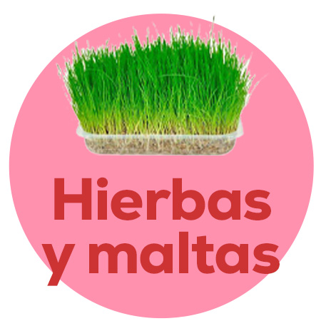 Hierbas y maltas