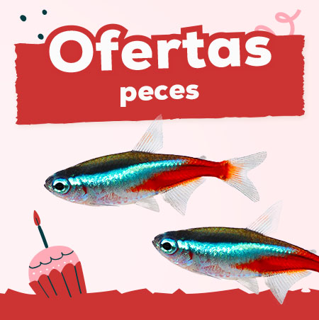 ;Ofertas para peces