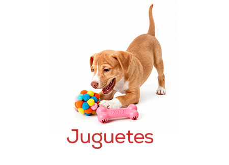 Juguetes para cachorros