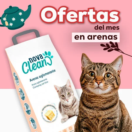Ofertas del mes en arenas Ofertas del mes en arenas