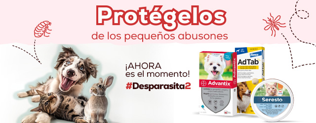 Empapadores para perros con carbón activo 60x60 cm container 10 units ·  FRED&RITA · Supermercado El Corte Inglés El Corte Inglés