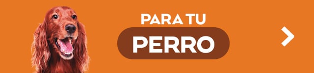 Perros