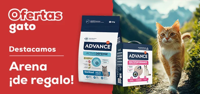Advance: Arena de regalo con referencias seleccionadas de pienso para gato