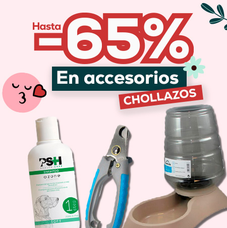 Chollazos en accesorios para perro