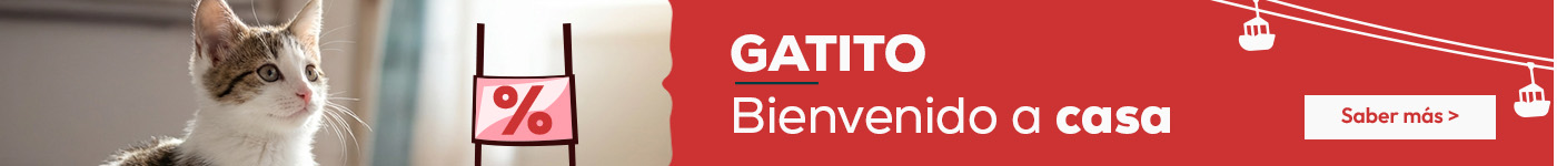 Tienda del gatito: Todo lo que necesitas para darle la bienvenida