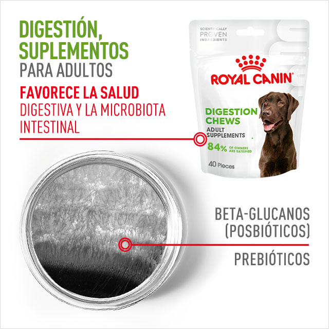 Digestión. Suplementos para perros adultos que favorecen su salud digestiva y la microbiota intestinal
