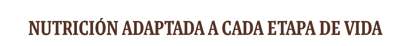 Nutrición adaptada a cada etapa de vida