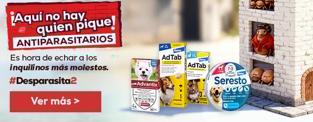 Antiparasitarios: Es hora de protegerlos de las pulgas, garrapatas, flébotomos...