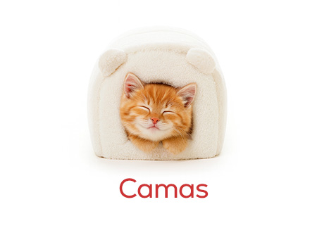 Camas para gatito