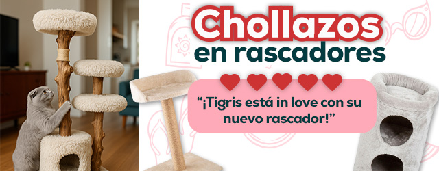 Súper precios en selección de rascadores para gato