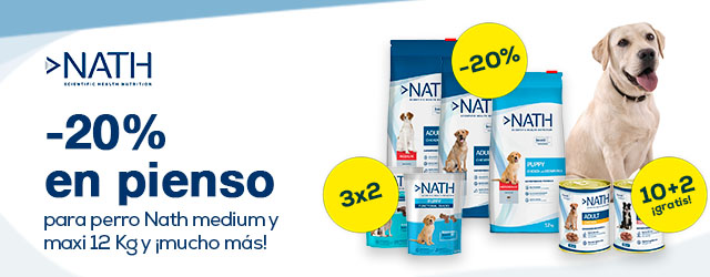 best way to make your dog lose weight