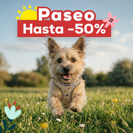 Hasta -50% en selección de accesorios de paseo