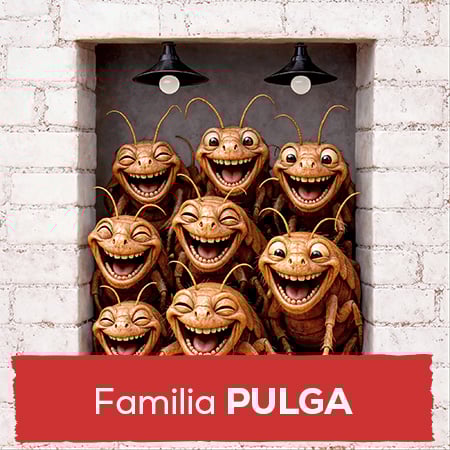 Productos para pulga