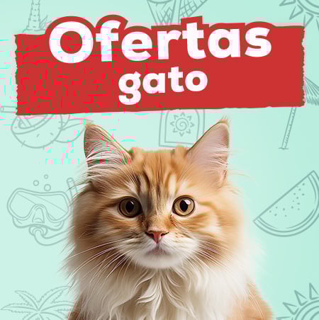 Ofertas para gato