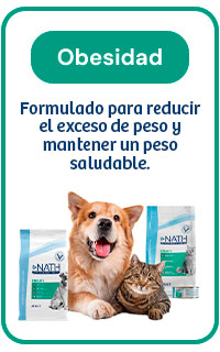 Nath Obesity: Formulado para reducir el exceso de peso.