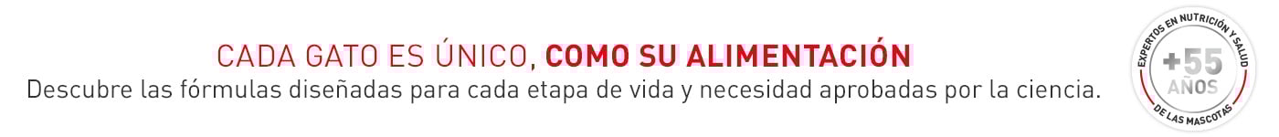 Descubre las fórmulas diseñadas para cada etapa de vida y necesidad para tu gato aprobadas por la ciencia.