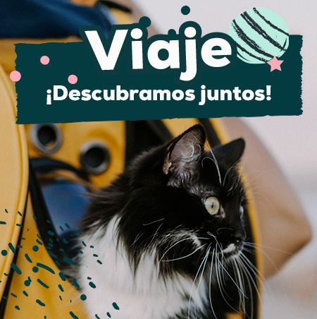 Ofertas de productos de viaje