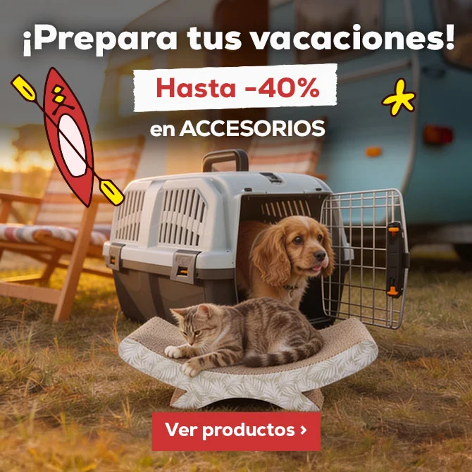 Prepara su viaje con los accesorios más top