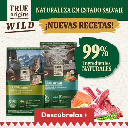 Novedad en pienso natural True Origins Wild formulados con nuevas proteinas para gatos con mucha actividad Novedad en pienso natural True Origins Wild formulados con nuevas proteinas para gatos con mucha actividad