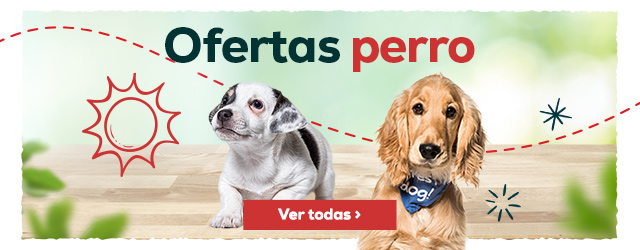 Ofertas perro