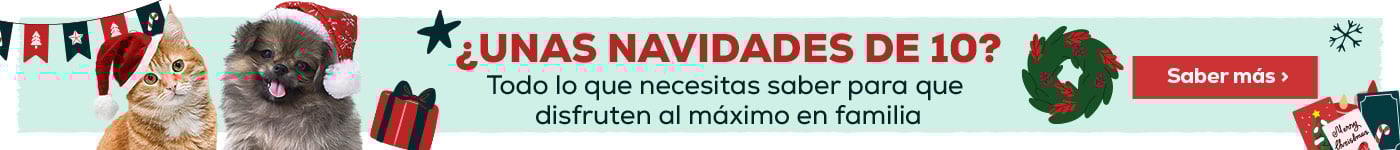 Todo lo que necesitas saber para que disfruten al máximo en familia