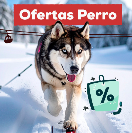 Ofertas para perro