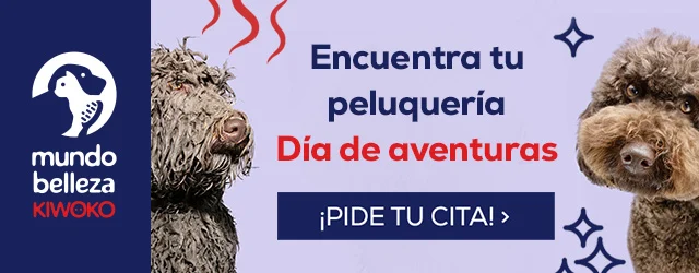 Encuentra tu peluquería