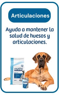 Nath Mobility: ayuda a mantener la salud de huesos y articulaciones