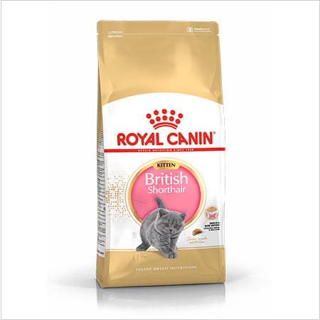 Royal Canin British Shorthair Kitten pienso