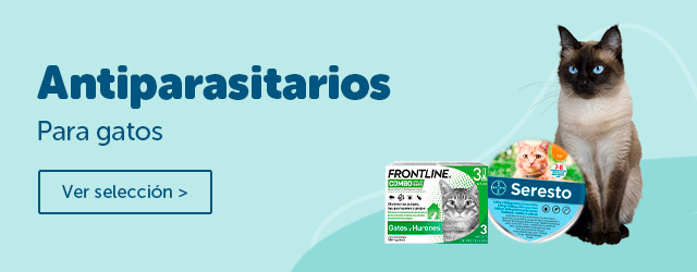 Antiparasitarios Gato