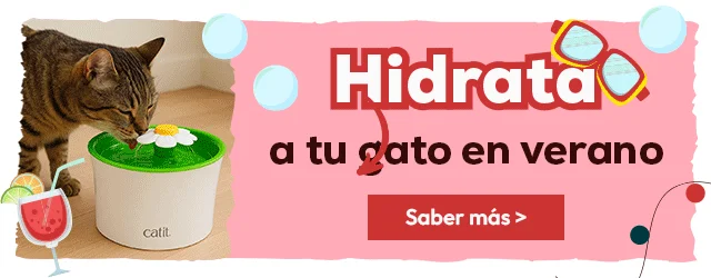 Hidrata a tu gato en verano