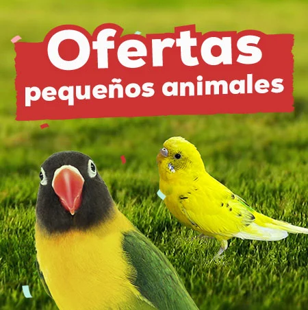 Ofertas en pequeños animales