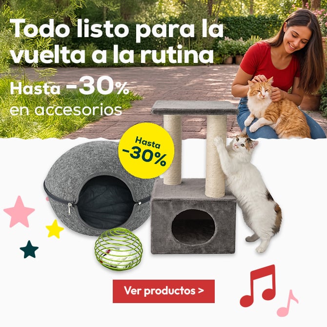 Todo listo para la vuelta a la rutina hasta -30% en accesorios