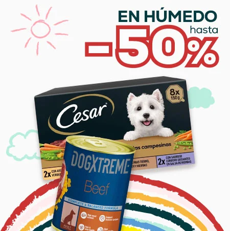 Hasta -50% en húmedo para perro