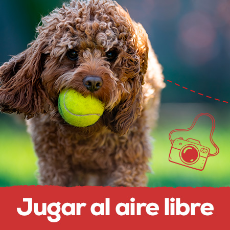 Juguetes