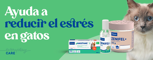 Zenifel: Ayuda a reducir el estrés en gatos