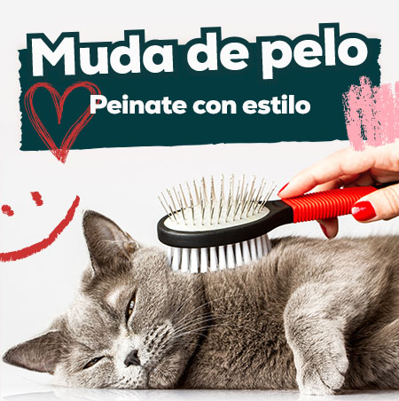 Ofertas de productos para el pelo