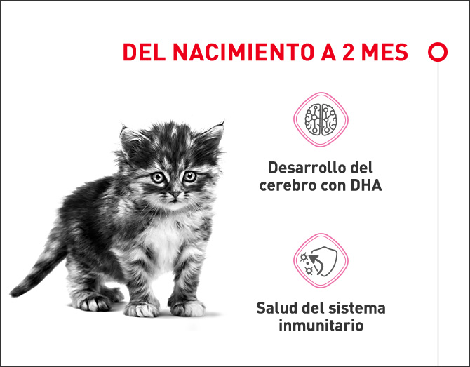 Alimento desde el nacimiento a dos meses