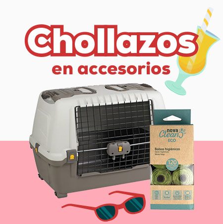 Chollazos en accesorios para perro