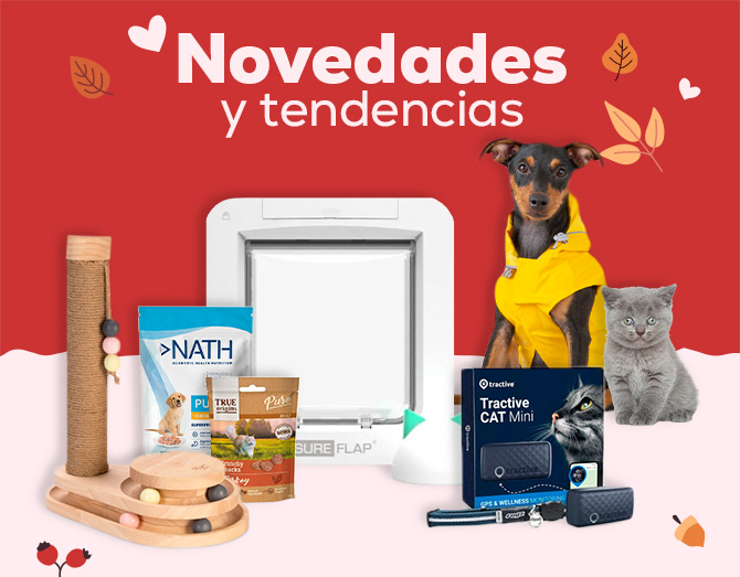 Descubre todas las novedades y tendencias de este otoño