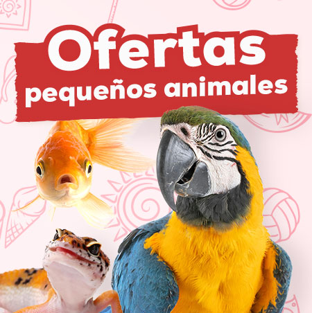 Ofertas para pequeñas mascotas