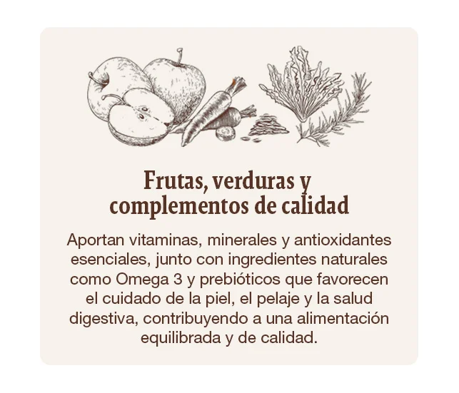 Frutas, verduras y complenentos de calidad que aportan vitaminas, minerales y antioxidantes que contribuyen a una alimentación equilibrada