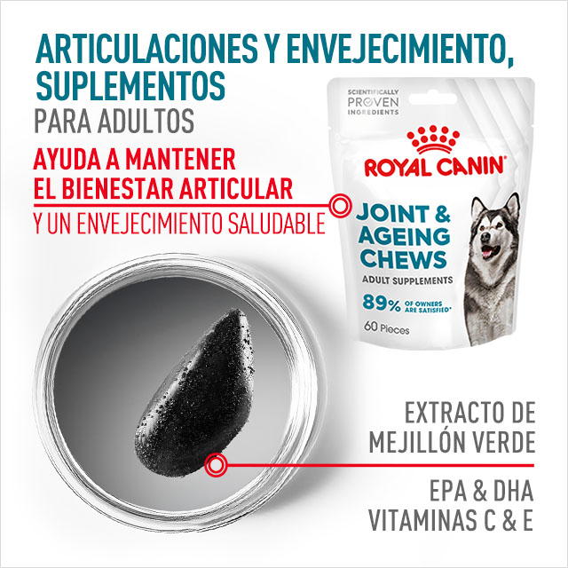 Articulaciones y envejecimiento. Suplemento para perros adultos que ayudan a mantener el bienestar articular