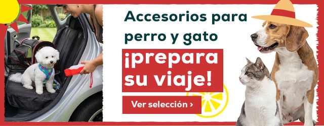 Prepara su viaje con los accesorios más top