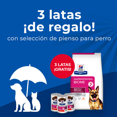 Hill's Prescription Diet: 3 latas de comida húmeda de regalo con selección de pienso