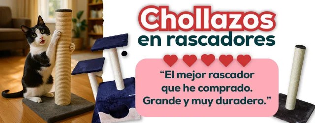 Súper precios en selección de rascadores