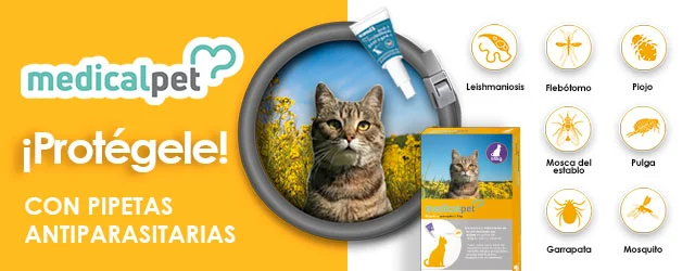 Medicalpet