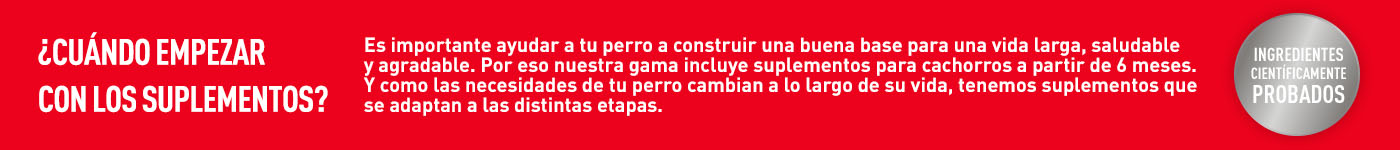 ¿Cuándo empiezo a darle suplementos a mi perro? Es importante ayudarle a tener una vida más larga con suplementos adaptados a cada etapa