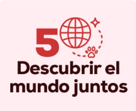 Todo lo que necesitas para descubrir el mundo junto a tu nuevo amigo. Salidas juntos